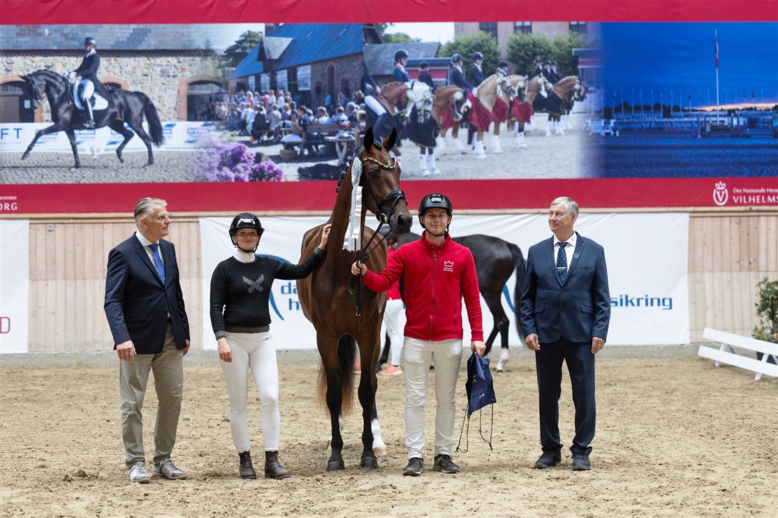 <center><small><b>Tildelt Sølvmedalje ved Dansk Varmblod Eliteskue 2024</small></b>
<i><small><small><small>Kamar's Jealousy</i></center></small></small></small>